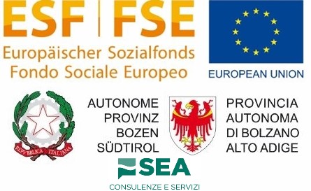 FSE Logo