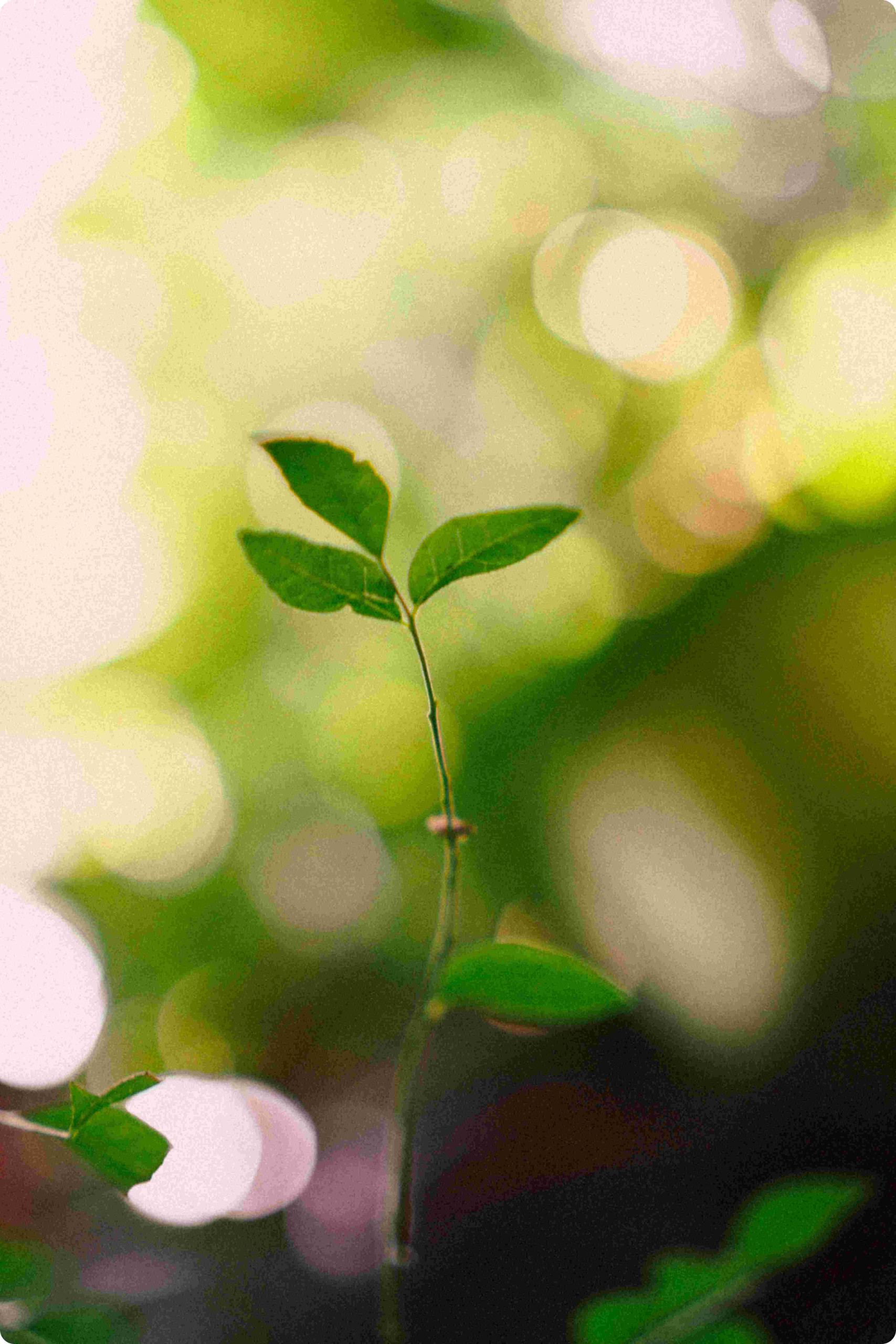 Life Cycle Assessment – LCA