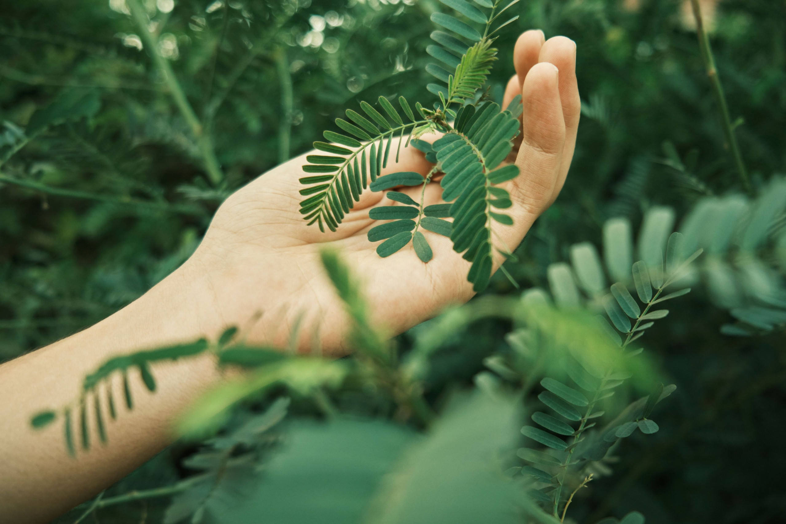 Dal marketing della sostenibilità alla sostenibilità supportata da evidenze. Non puoi più limitarti a dire che la tua azienda è "green". E nemmeno che è "etica".